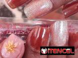 SERVICIO DE MANICURA