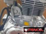 Unidad de 300 cc