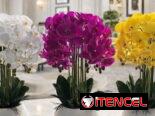 Flores artificiales