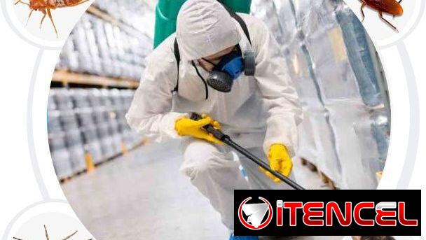 Servicio de Fumigación integral en la habana