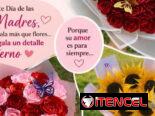 Flores Eternas para mama +53 55840572
