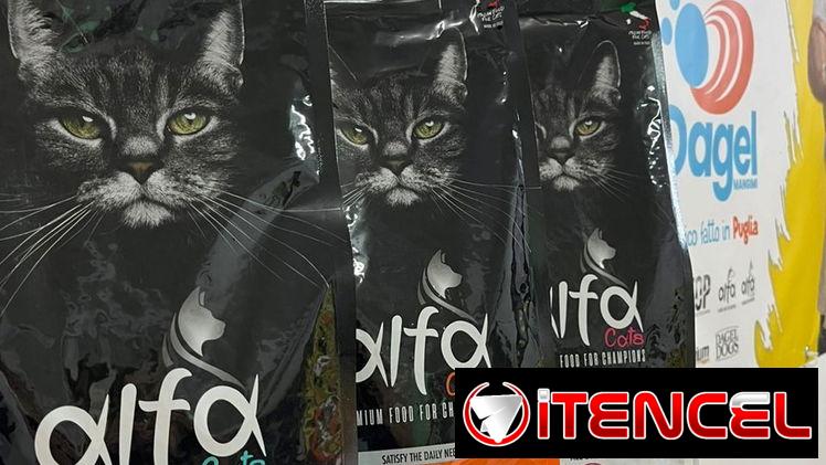 Pienso para gatos de 2kg
