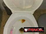 Servicio de limpieza