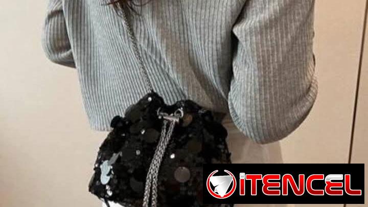 Carteras y bolsos para ocasiobes