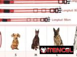 Collares Luminosos Led para perros, con bateria. Nuevos