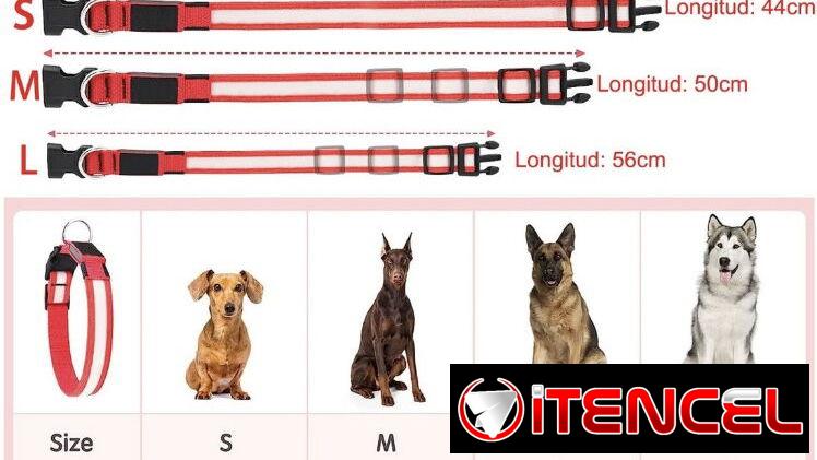 Collares Luminosos Led para perros, con bateria. Nuevos