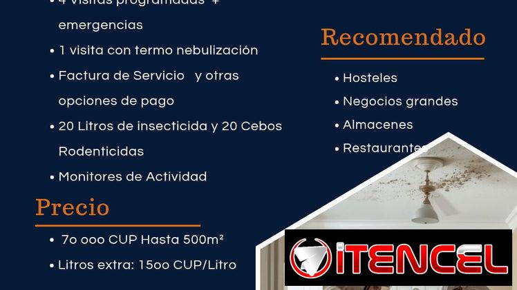 Fumigación- Control de plagas- Profesionales-MIP