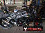 Moto de Gasolina Furia 250Cc