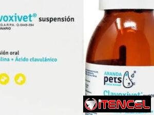 5fc49b1b806353489a9b714f3d74a2acd16cced650ac321327a266dea451a50d