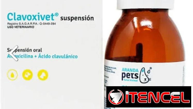 CLAVOXIVET SUSPENSIÓN 60 ML (Amoxicilina)