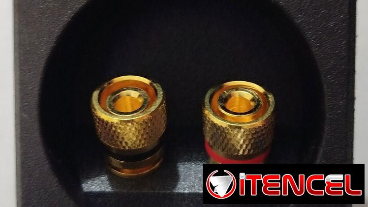 Conexión trasera para altavoces (pareja)