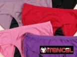 Ropa interior complementaria para el período blumer