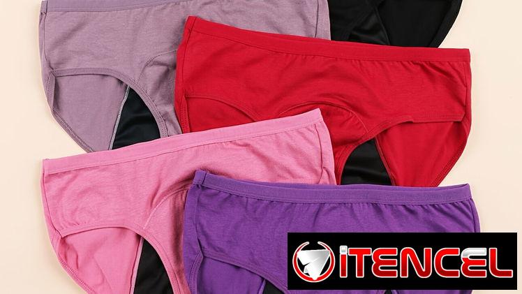 Ropa interior complementaria para el período blumer