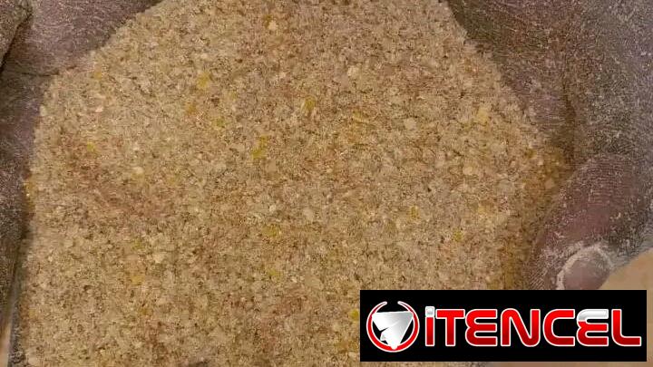 Pienso criollo para puercos