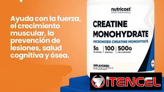 CREATINA NUTRICOST- 100 servicios