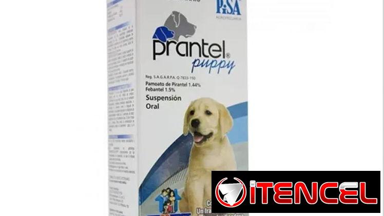 PRANTEL PUPPY (Febantel, Pirantel) 150 ML
