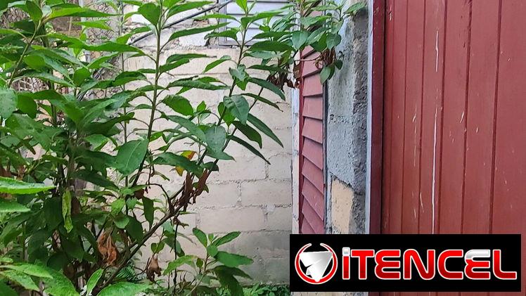 Venta o permuta de vivienda