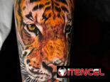 Tatuajes / Tattoos / Tatuador Profesional en el Vedado (Kinetica)