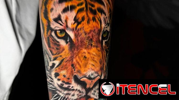 Tatuajes / Tattoos / Tatuador Profesional en el Vedado (Kinetica)