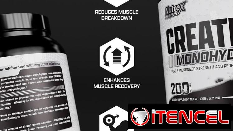 CREATINA DRIVE (NUTREX) 2.2LB-200SERV 58234161 y 56902981 FITNESSARMY