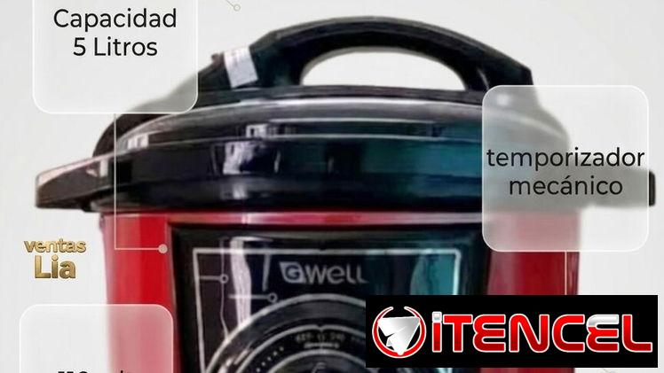 Olla Reina GWell de 5 L