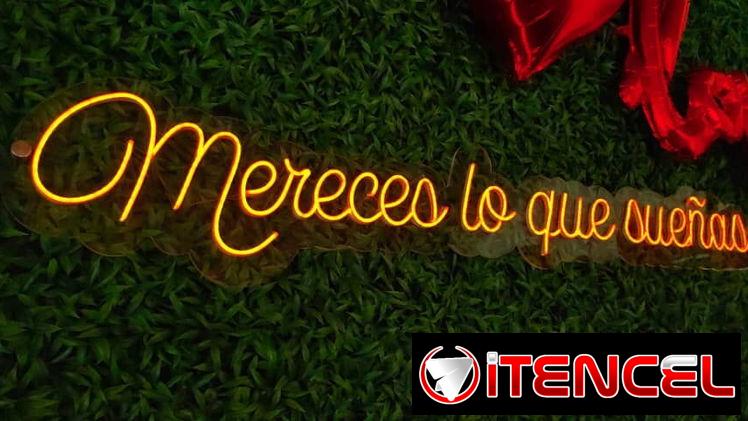 Se Realizan Carteles Neón Flex lumínicos