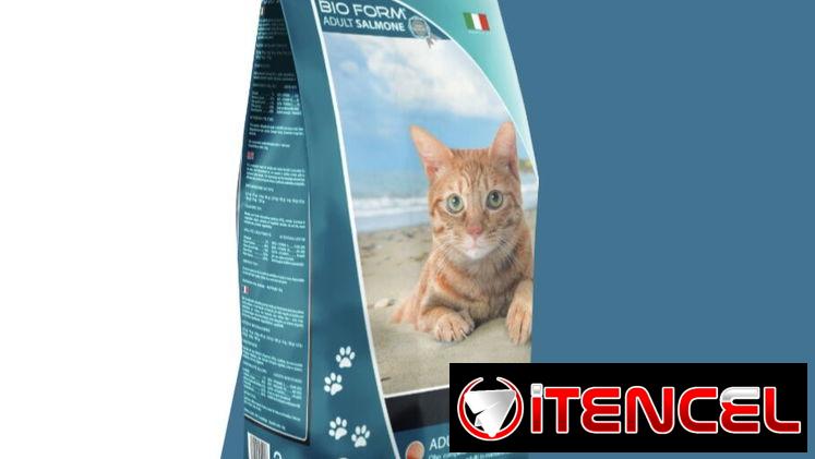 PIENSO IMPORTADO PARA GATOS 🐱 BOLSA 2 Kg SALMON
