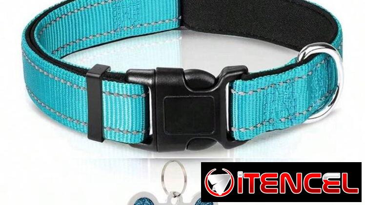 Collares con chapilla
