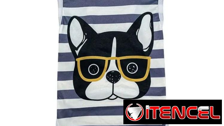CAMISETA – ABRIGOS – CHUBASQUEROS PARA PERROS Y GATOS
