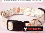 Collares