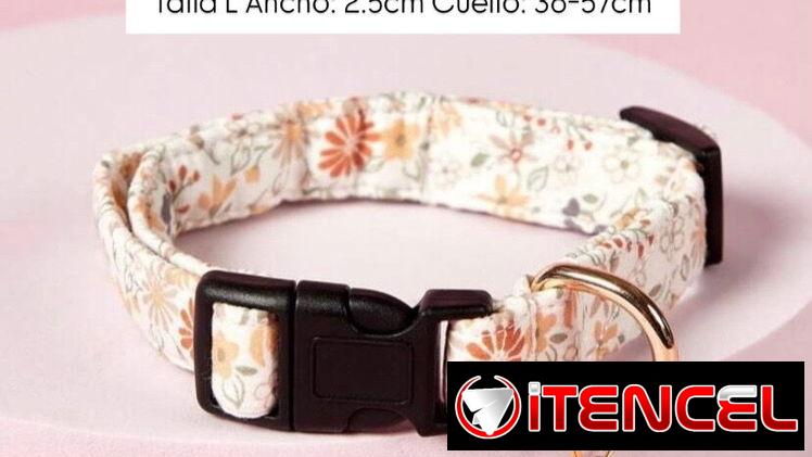 Collares