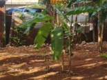 Casa grande en cojimar con apartamento de alquiler en el fondo