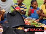 Cesta para picnic. Canasta paseo almuerzo.