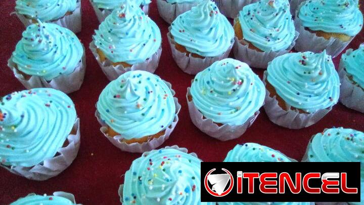 Cupcakes en 100 cup cada uno.