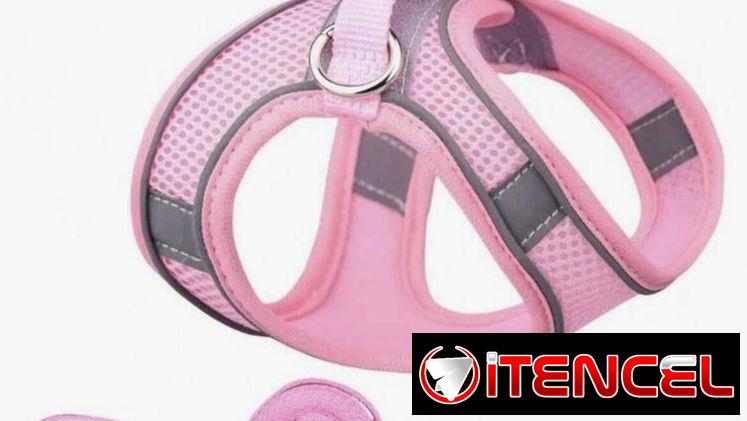 Arnés / Pechera para perros