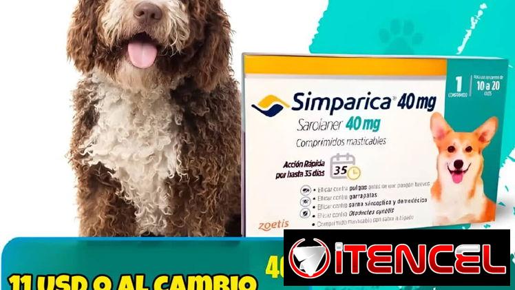 Simpárica de 10 a 20kg (40mg)