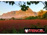 Renta habitación en Viñales con paneles solares – Capacidad 4 personas – Precio negociable 15-25 USD