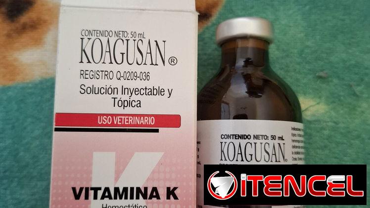 Vitamina K Hemostatico inyectable. Veterinaria.