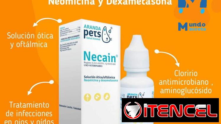 Necain