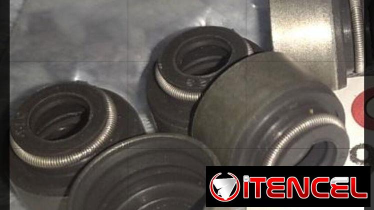 Vendo retenes(tapones) de balancines, de la punta de las válvulas, 16u(Retenes) del accent