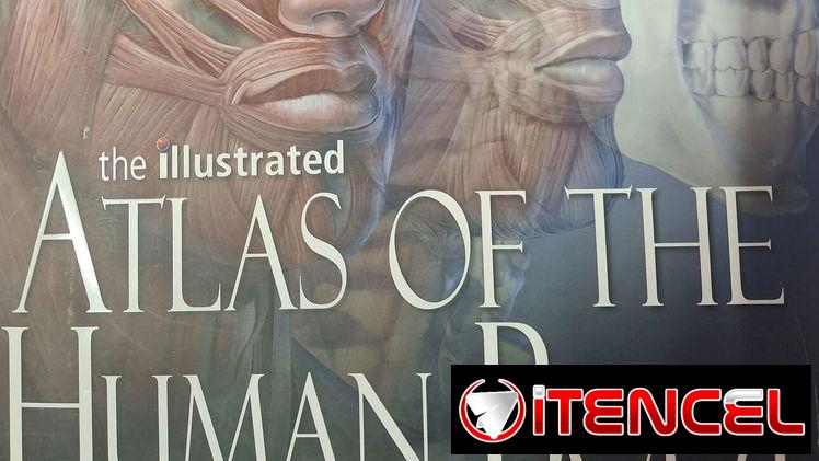 Libros de Anatomia en Ingles