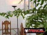 🏠🪸Renta de casa en La Habana ( Descubre el Vedado Habanero)🪸