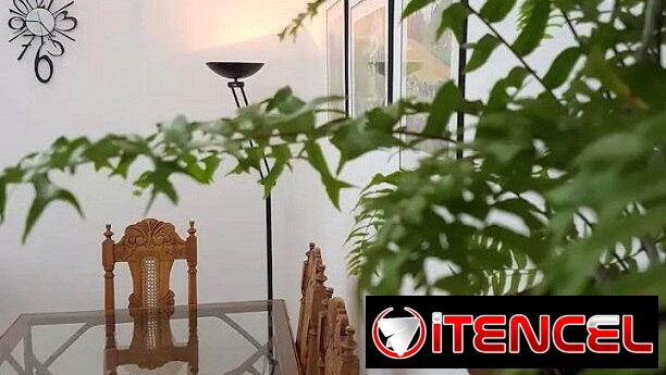 🏠🪸Renta de casa en La Habana ( Descubre el Vedado Habanero)🪸