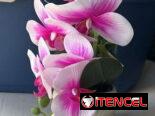 Macetas con flores artificiales