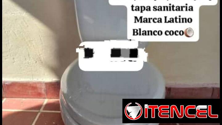 Juego de baño tasa tanke con su tapa sanitaria y herrajes blanco coco marca latino