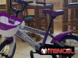 Bicicleta de niña r16