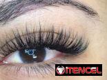 Extensiones de pestañas y arreglo de cejas