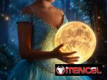 Sesiones de Quinceañeros