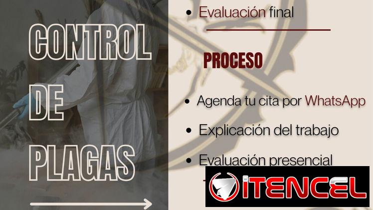 *Fumigación Profesional Eficacia y Garantía