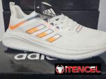 Tenis